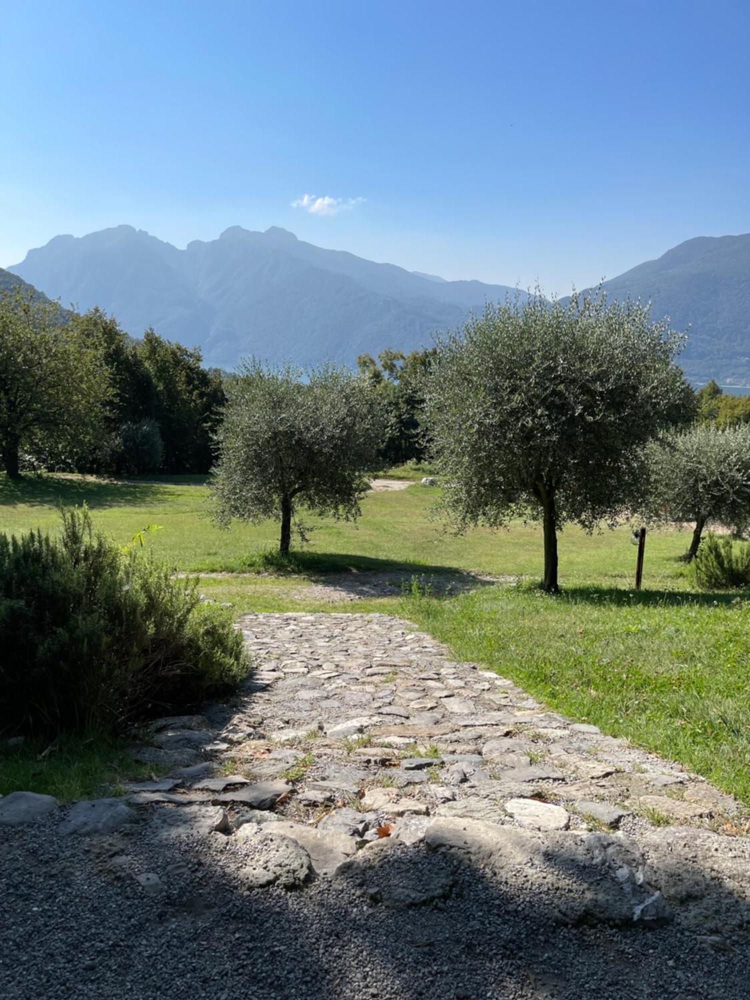 Agriturismo La Selvaggia Манделло-дель-Ларио Экстерьер фото