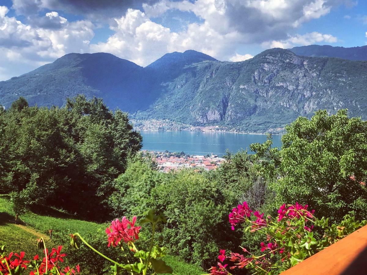 Agriturismo La Selvaggia Манделло-дель-Ларио Экстерьер фото